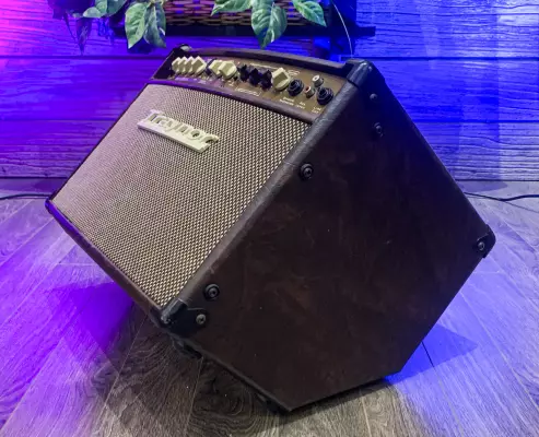 Traynor - 2-Channel Compact Stereo Acoustic Guitar Amp - 65 Watts 2